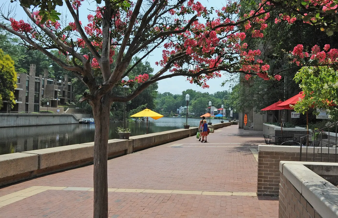 Lake Anne Plaza, Reston's original village center